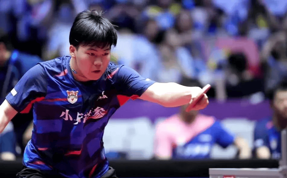 成都高新, 王楚钦独木 成都高新, 王楚钦独木