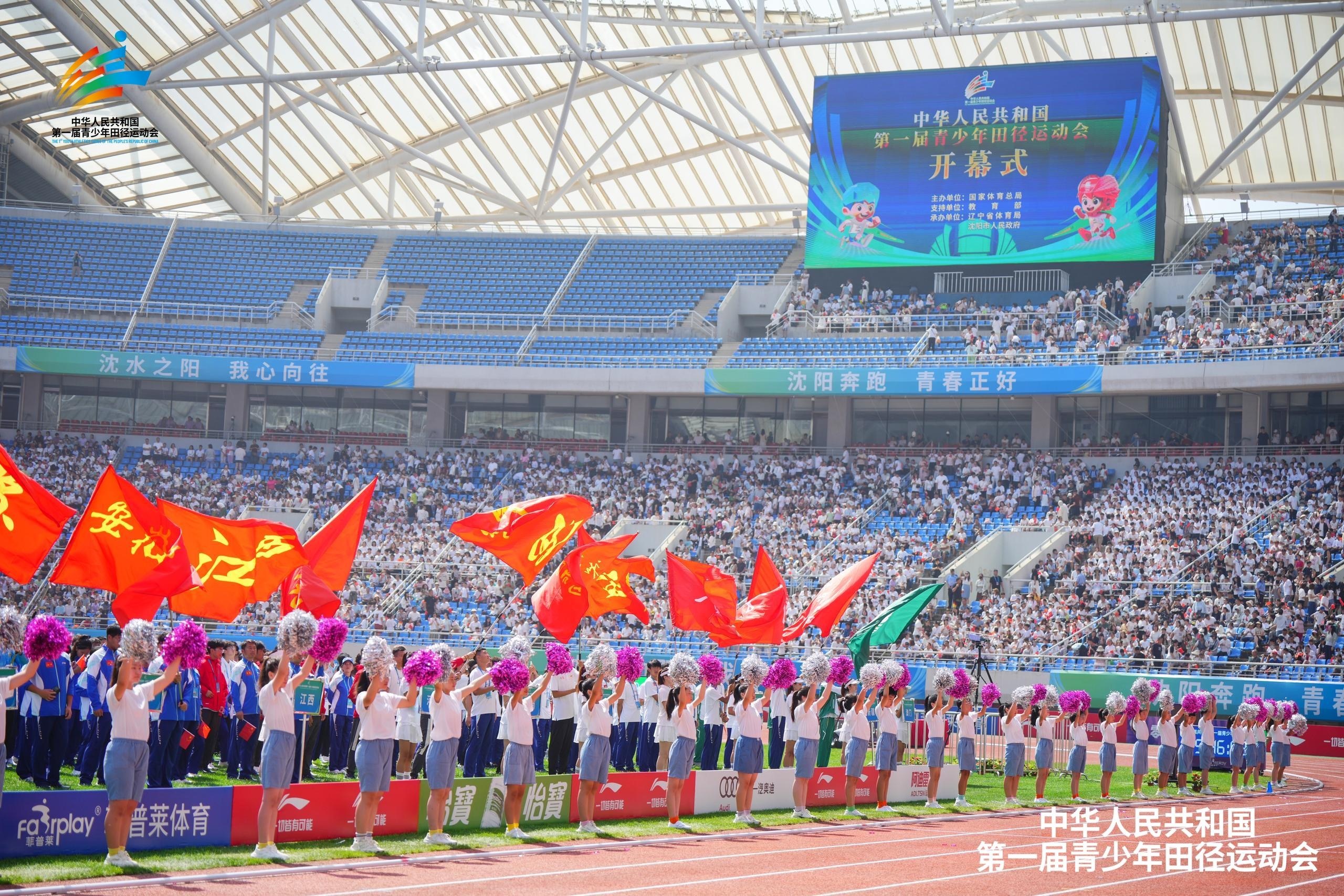 img, img, yid img, img, yid