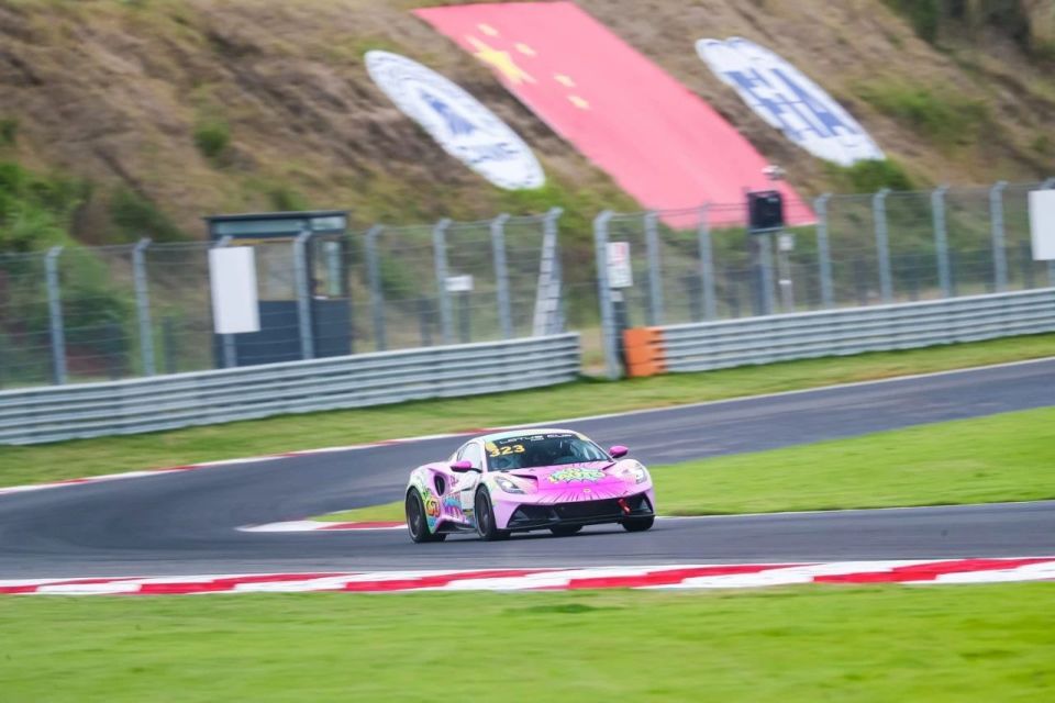 车队已针对 车队已针对