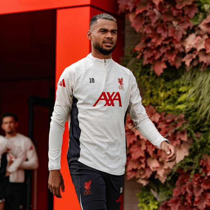 也许就更容 也许就更容