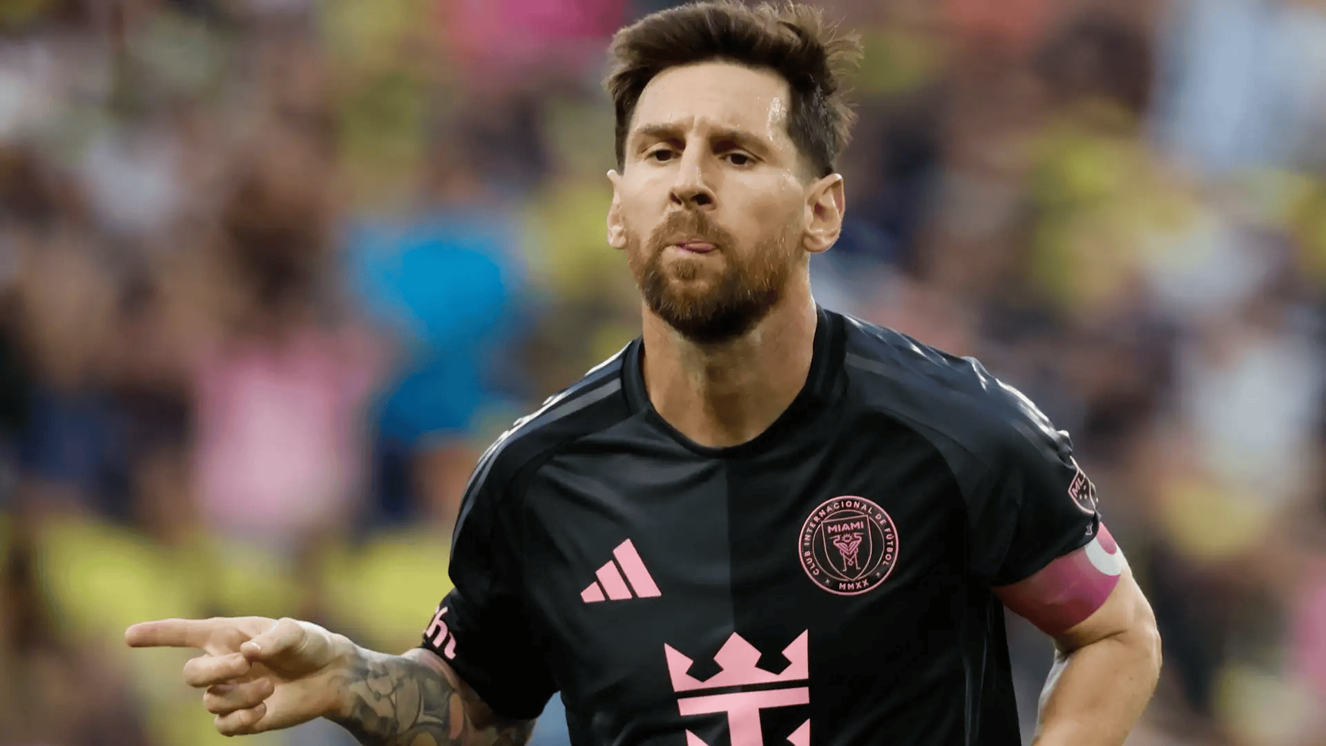 div, 马斯切拉诺, 值得一提的 div, 马斯切拉诺, 值得一提的